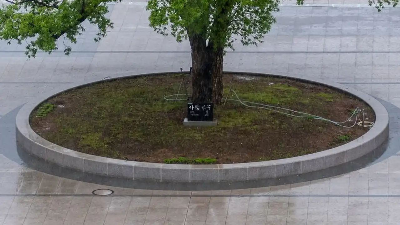 寻找经典复古体验的玩家如何选择久久传奇类游戏
