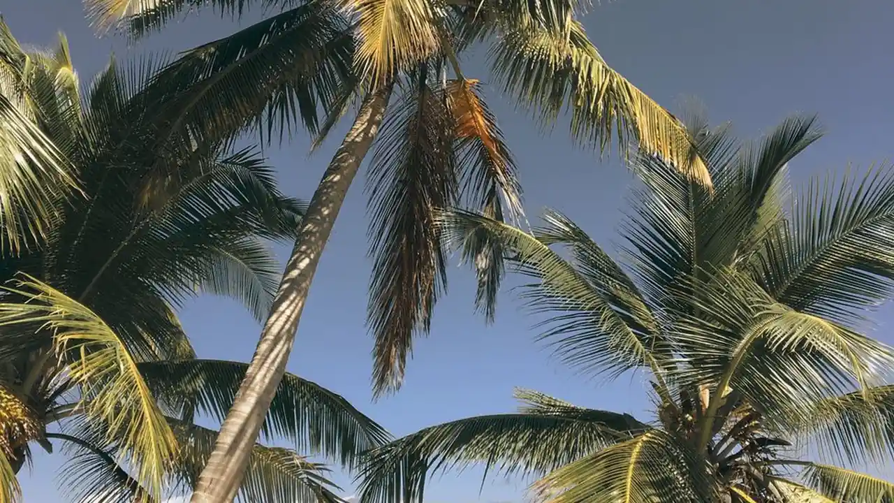万达影城团购购票指南使用限制与适用场景说明